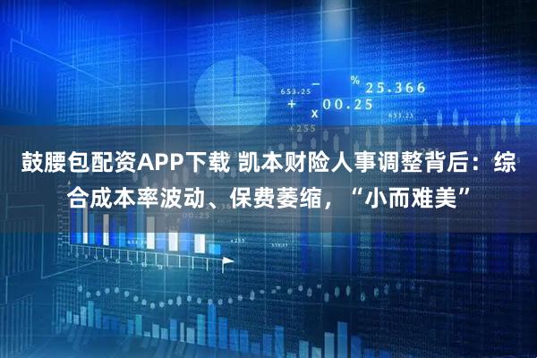 鼓腰包配资APP下载 凯本财险人事调整背后：综合成本率波动、保费萎缩，“小而难美”