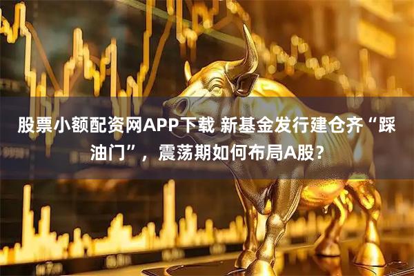 股票小额配资网APP下载 新基金发行建仓齐“踩油门”，震荡期如何布局A股？